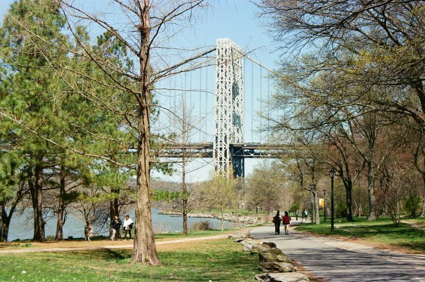 Francis Lewis Park – Park Construction